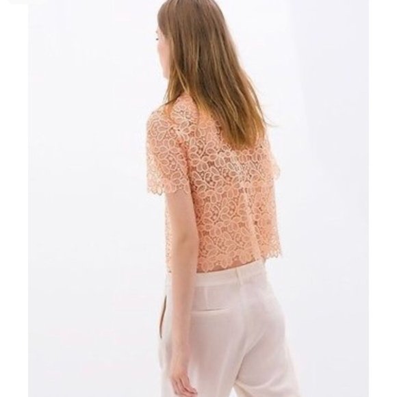 Zara Peach Guipure Lace Button Up Top Size Small - Picture 2 of 8